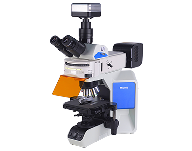 研究级正置荧光显微镜MF43-N
